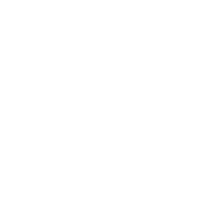 VEO Capital
